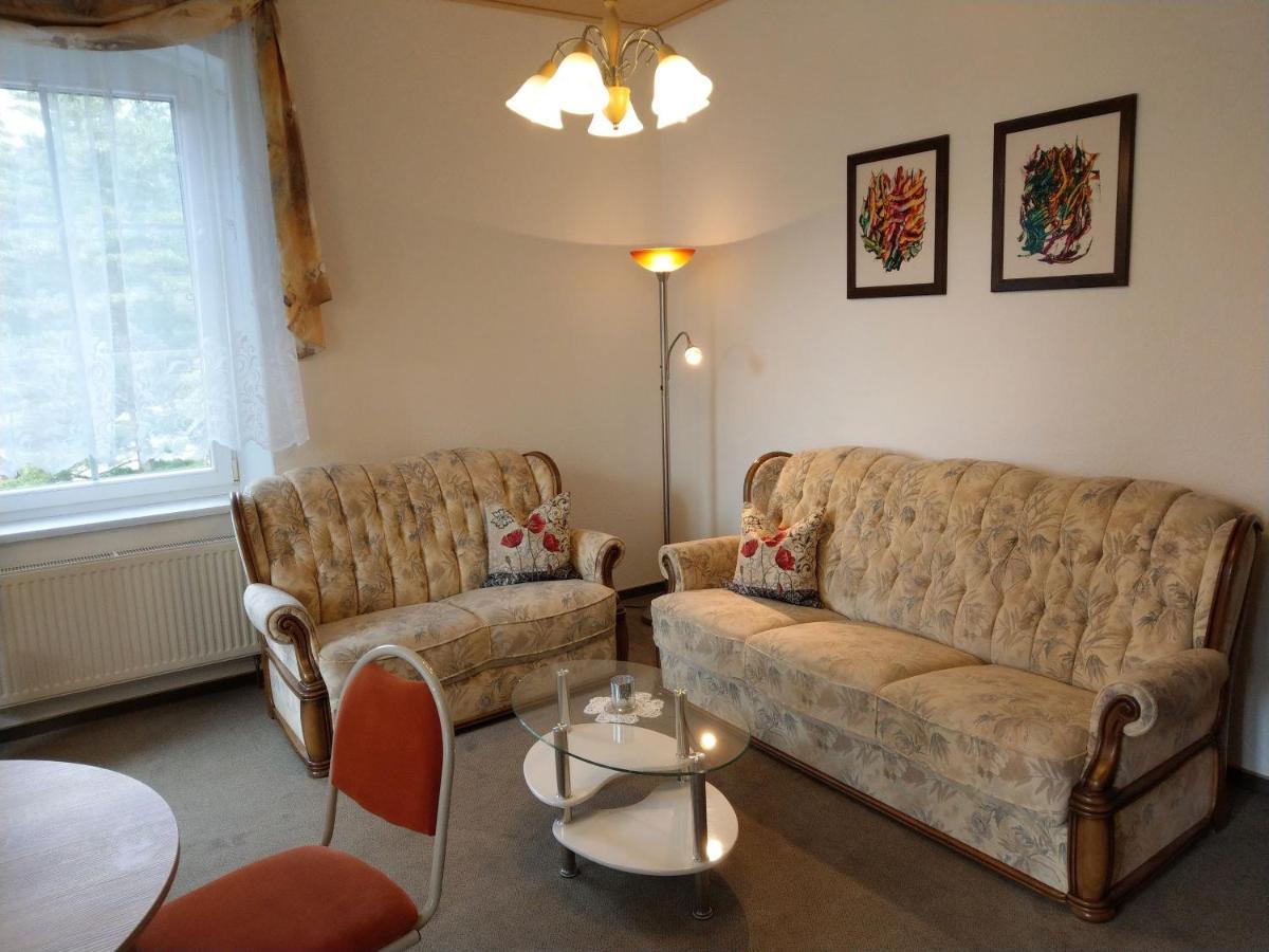 Villa Angelika Altenberg Bagian luar foto