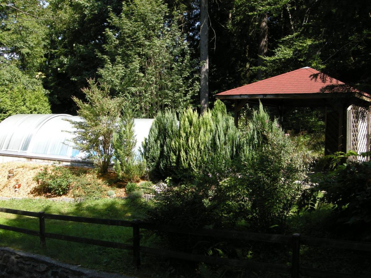 Villa Angelika Altenberg Bagian luar foto