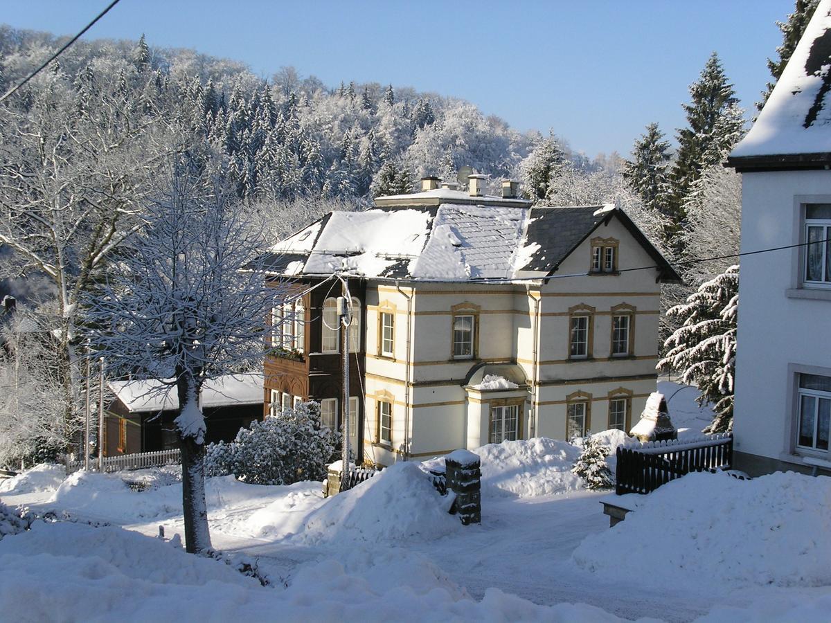 Villa Angelika Altenberg Bagian luar foto