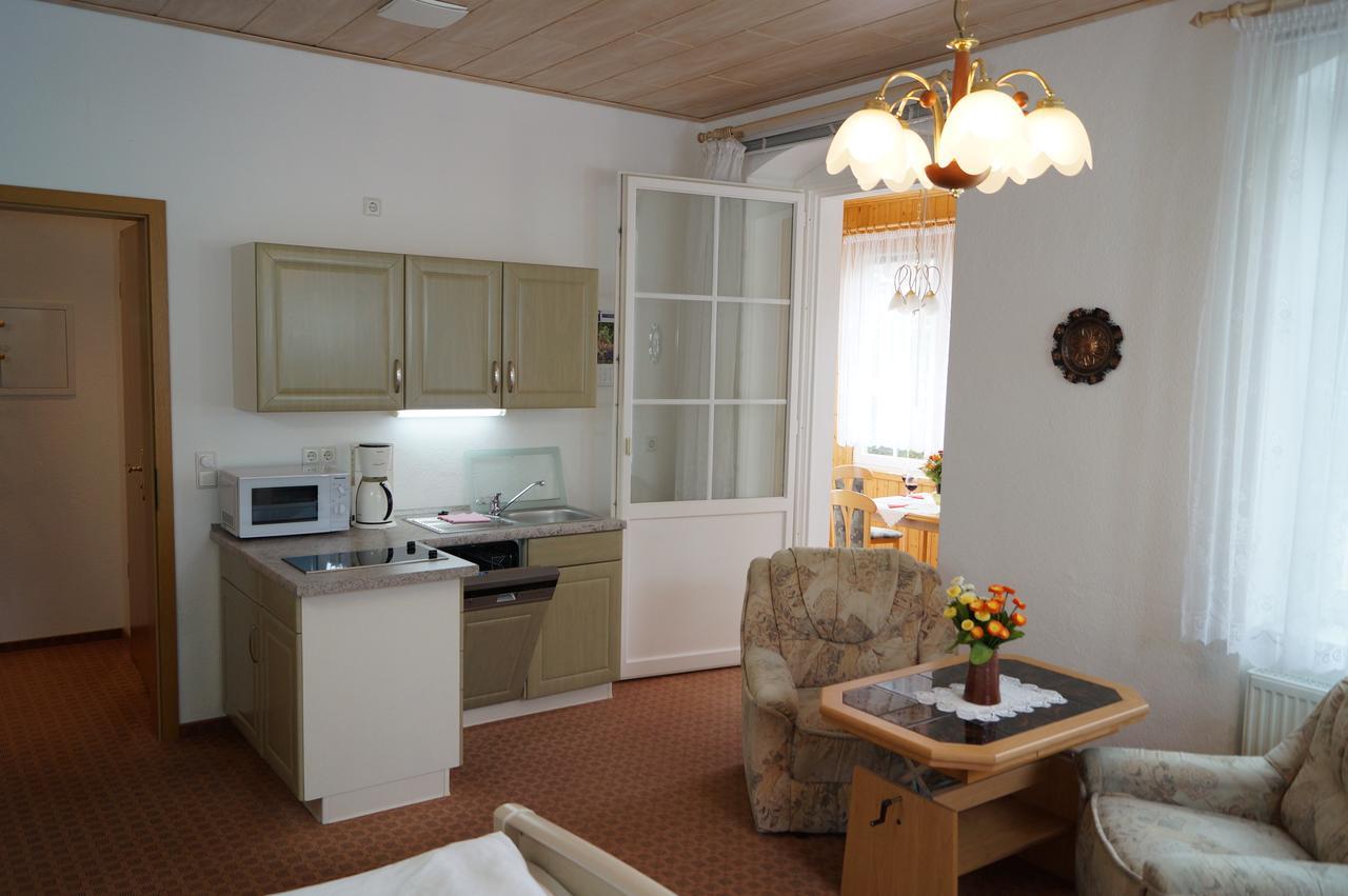Villa Angelika Altenberg Bagian luar foto