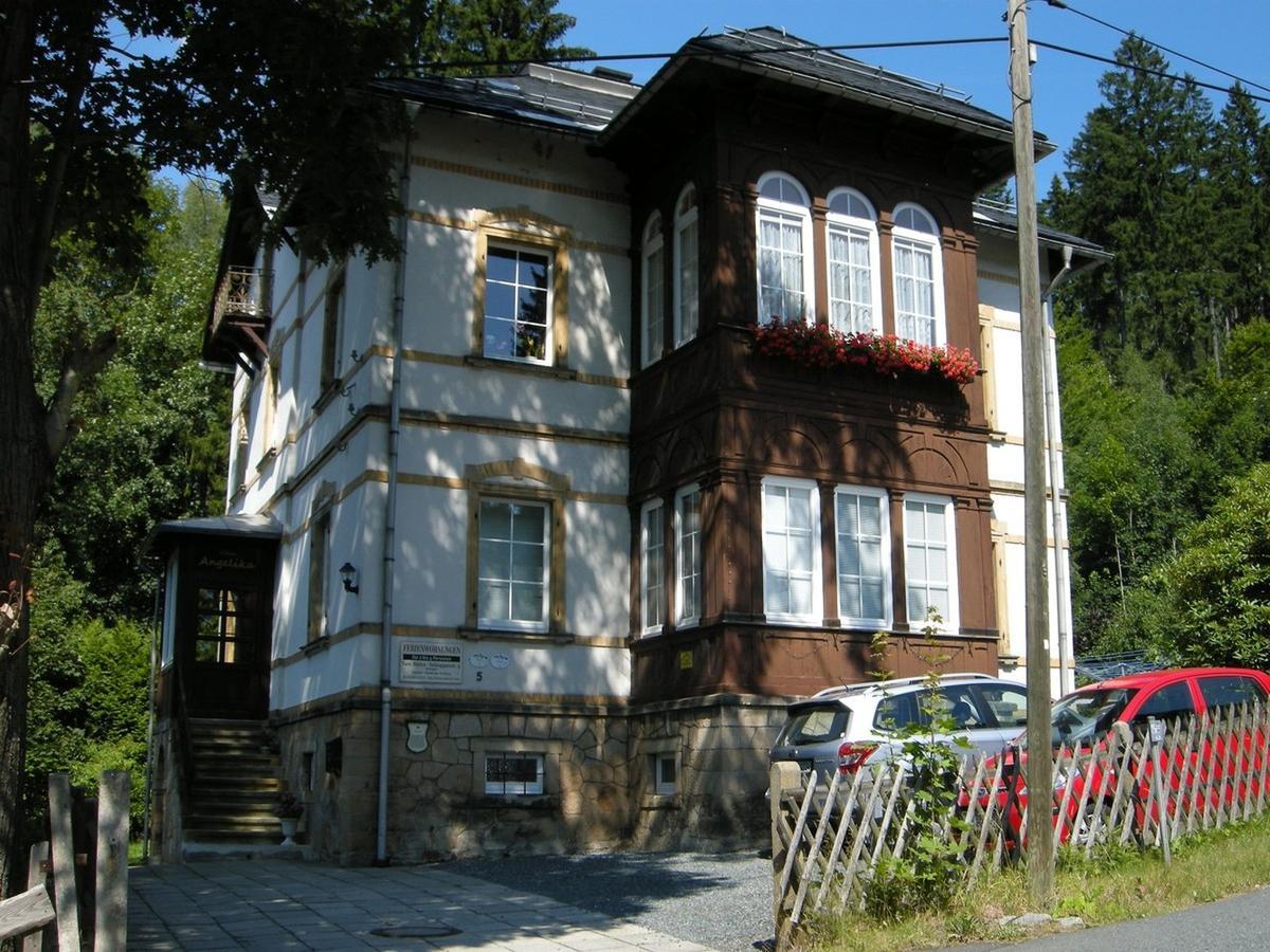 Villa Angelika Altenberg Bagian luar foto
