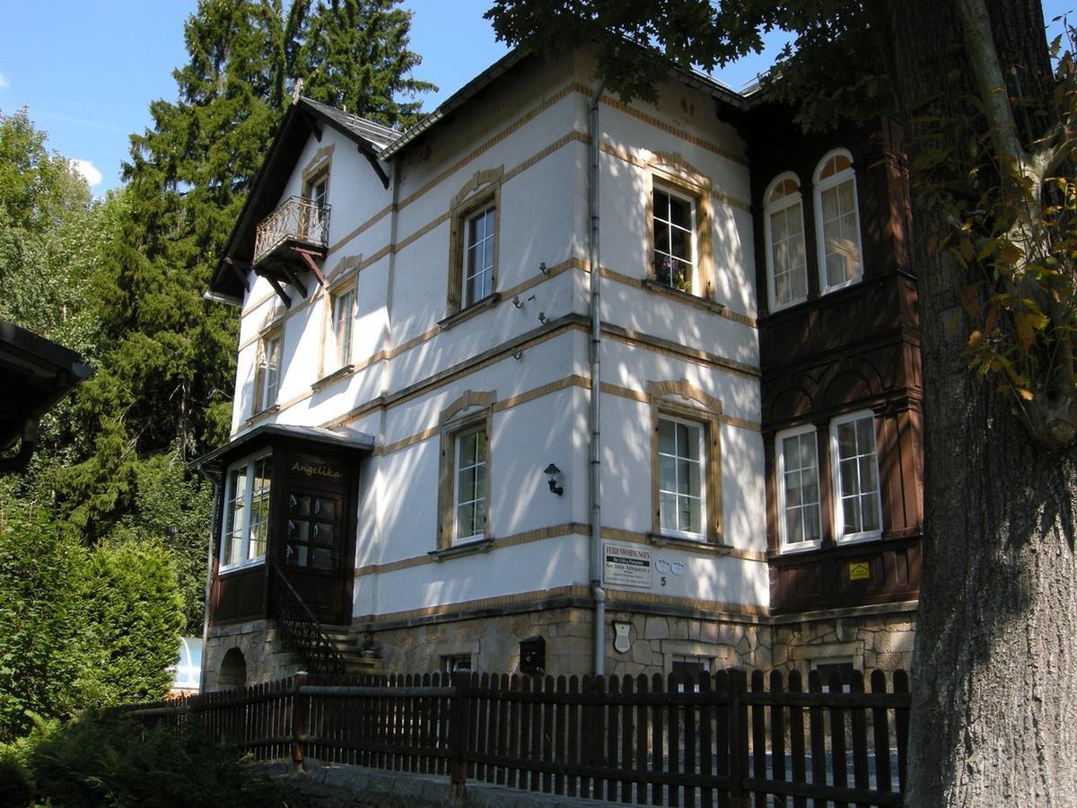 Villa Angelika Altenberg Bagian luar foto