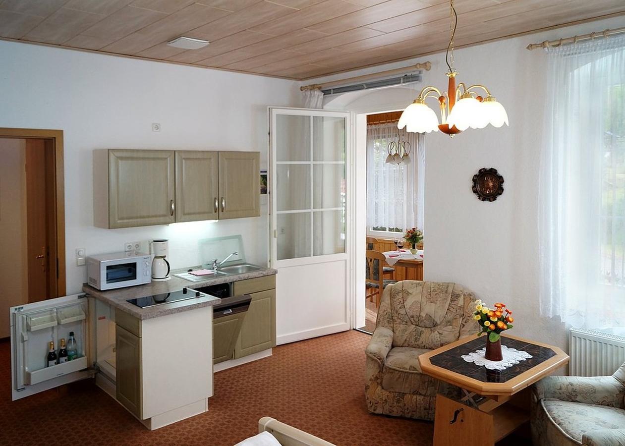 Villa Angelika Altenberg Bagian luar foto